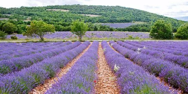 Domitia Roussillon Appartement Luberon Roussillon (Vaucluse)